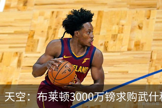 天空：布莱顿3000万镑求购武什科维奇，预计热刺对其估值超6000万